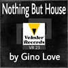 Gino Love - Nothing But House (Original Mix)