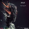 Moll - That Day (Original Mix)