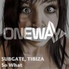 Subgate、Tibiza - So What (Original Mix)