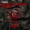 Tibiza - Heart Of A Small Boy (Original Mix)
