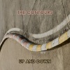 the contours《Funny》[MP3/LRC]