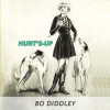 Bo Diddley - Don't Let It Go (Hold On To What You Got)