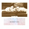 Bobby Vee - Silent Partner