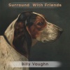 Billy Vaughn - Breeze