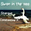 Starque、Constantine P. - Swan In The Sea (Original Mix)