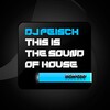 DJ Peisch - This Is The Sound of House (Original Mix)
