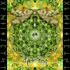 Dense - Moonflower