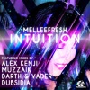 Melleefresh - Intuition (Original Mix)