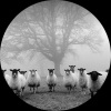 Sonny Summers - Delusion 17 (Original Mix)