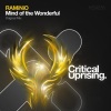 RAMiNiO - Mind of The Wonderful (Original Mix)