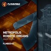 Andy Filth - Metropolis (Original Mix)