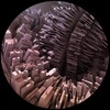 Kriss Communique - Model Ego (Original Mix)