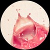 Kriss Communique - Acid Funk (Original Mix)