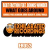 Dennis Wonder、Beat Faction - What Goes Around (Original Mix)