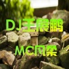 王展鹏、凡柔 - 让我做你的眼睛