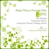 Radu Mirica、Provoke Rain - Soul Rhodes (Original Mix)
