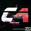 Criss Anthem - Feelings (Original Mix)