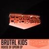 Brutal Kids - Darkness (Original Mix)