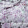 Sens - Sakura (Original Mix)