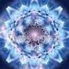Aurorax - Human Navigations