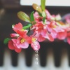 MC初见 - 如果有一天我变得很有钱