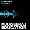 Seb LeBrox - Bad Girls (Original Mix)