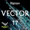 Bigtopo - Vector 17 (Original Mix)