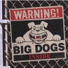 The Big Dogs - Girl From Tennessee