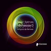 Nathassia D、Omar Salinas - X-Ray (Lockner Remix)