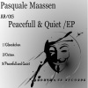 Pasquale Maassen - Peacefull & Quiet (Original Mix)