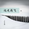 卢本伟 - 心率