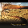 The Commercial Hippies - Loose Control (Original Mix)