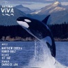 matthew codek、rober gaez - Xit Xat (Original Mix)
