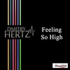 Dmitry Hertz - Feeling So High (Original Mix)