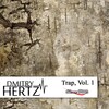 Dmitry Hertz - Death Penalty (Original Mix)