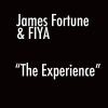 James Fortune、Fiya - You Survived
