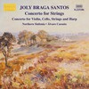 Northern Sinfonia、Álvaro Cassuto - I. Largamente maestoso - Allegro