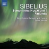 New Zealand Symphony Orchestra、Pietari Inkinen - I. Allegro molto moderato