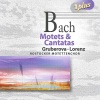 Leipzig Capella Fidicinia、Rostocker Motet Choir、Hartwig Eschenburg - Singet dem Herrn ein neues Lied, BWV 225