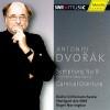 Stuttgart Radio Symphony Orchestra、roger norrington - I. Adagio - Allegro molto