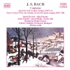 Ingrid Kertesi、Budapest Failoni Chamber Orchestra、Mátyás Antal、hungarian radio chorus - I. Aria: Jauchzet Gott in allen Landen!
