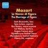 vittorio gui、Glyndebourne Festival Orchestra - Overture