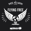 Eyes Of Providence - Flying Free