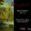 Jozef Kopelman、Capella Istropolitana、Milos Stevove - I. Allegro
