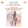Ilya Kaler、Polish National Radio Symphony Orchestra、Stephen Gunzenhauser - I. Allegro maestoso