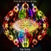 Tim Korry - From the First Day 'Til Now