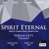 Yoram Levy、Brendon Lukin - I. Reuben, The Blue Window