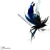 We、the innocent - In The Darkness