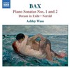 Ashley Wass - Piano Sonata No. 1
