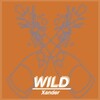 Xander - Wild (Explicit)
